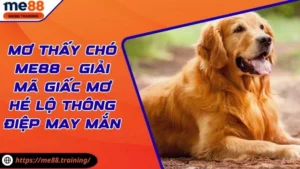 Mơ Thấy Chó Me88 – Giải Mã Giấc Mơ Hé Lộ Thông Điệp May Mắn